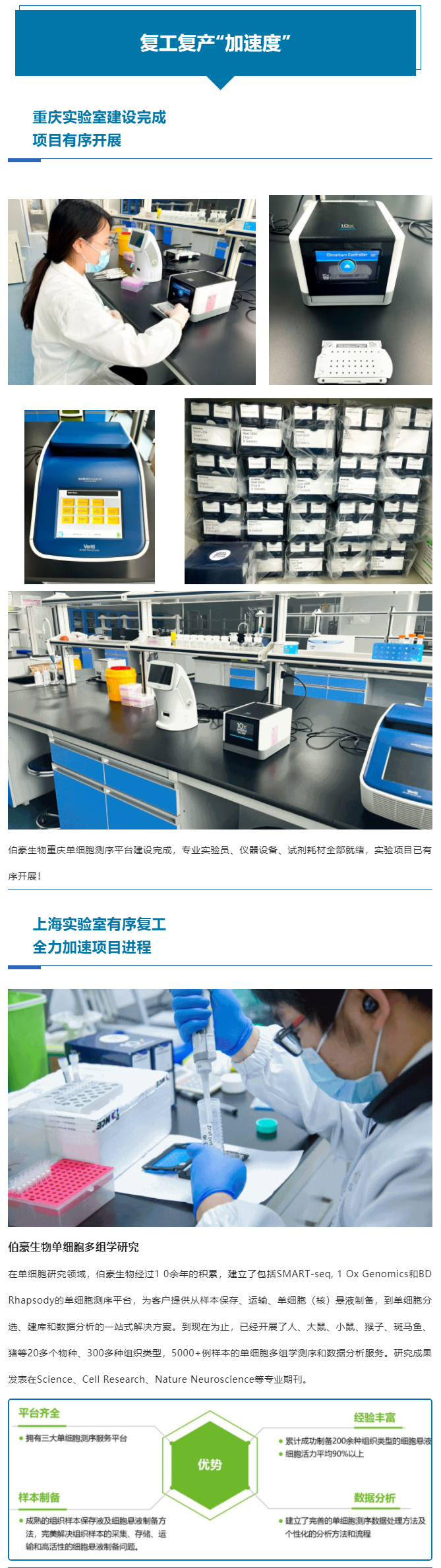 上海重庆齐头并进，全力以“复”跑出复工复产“加速度”