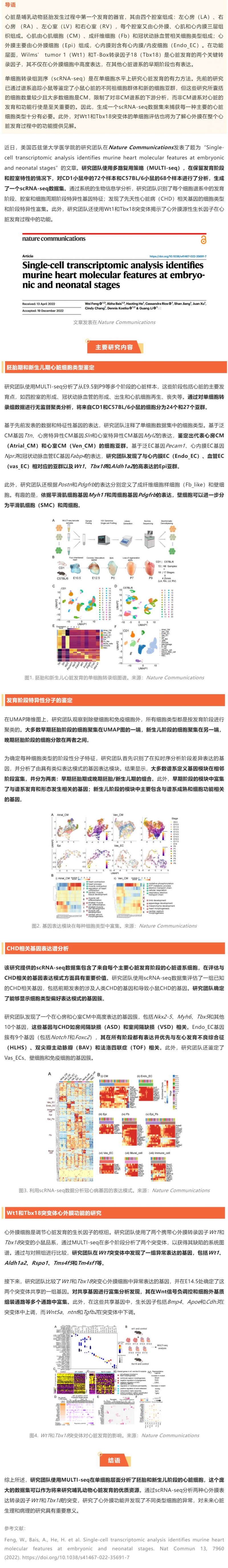 2023-01-31-Nat-Commun 发表胚胎及新生儿期小鼠心脏单细胞转录组图谱，揭示先天性心脏病相关基因的细胞类型及