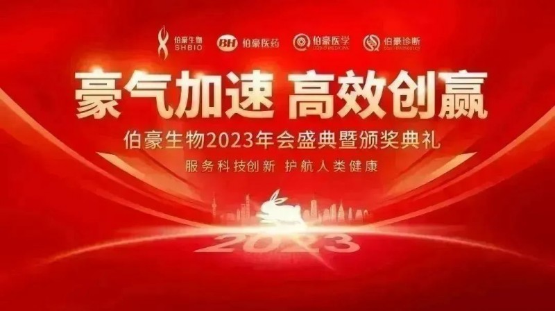 豪气加速，高效创赢