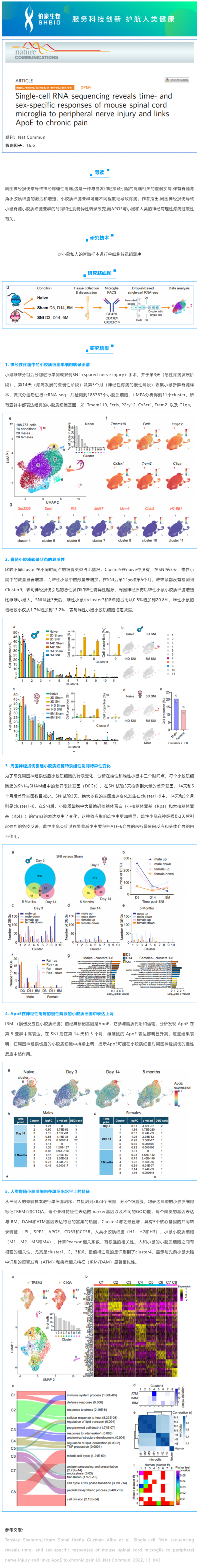 文献解读_单细胞 RNA 测序揭示了小鼠脊髓小胶质细胞对周围神经损伤的时间和性别特异性反应，并将 ApoE