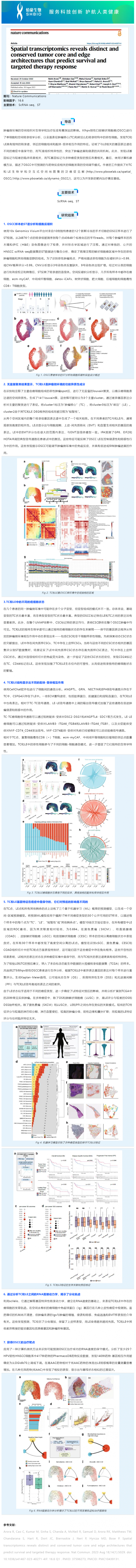 531 文献解读 _ 空间转录组学揭示了独特和保守的肿瘤核心和边缘结构，预测生存和靶向治疗反应