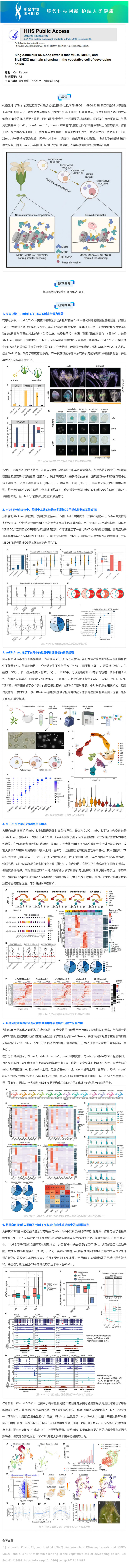 2024-08-16 文献解读 _ 单细胞核 RNA 测序表明 MBD5、MBD6 和 SILENZIO 在发育花粉的营养细胞中沉默基