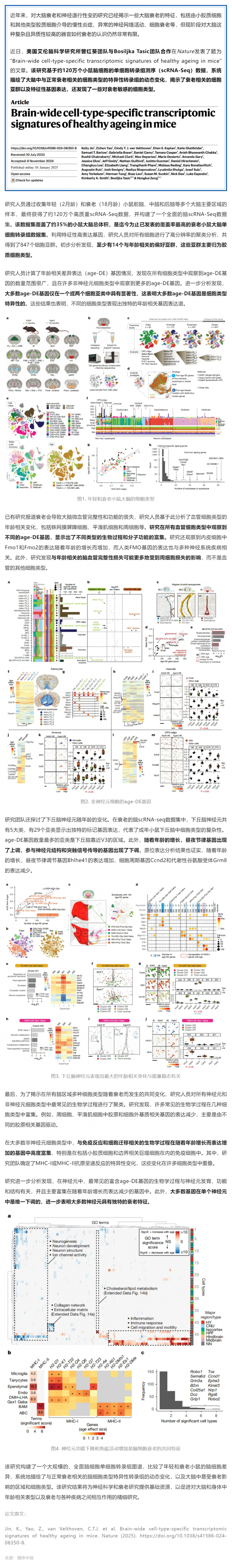 Nature _ 迄今覆盖率最高的衰老小鼠大脑单细胞转录组图谱，系统解析衰老相关细胞类型及特异性转录